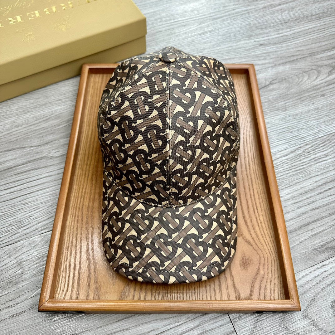 Exquisite Collection of Premium Hats-118