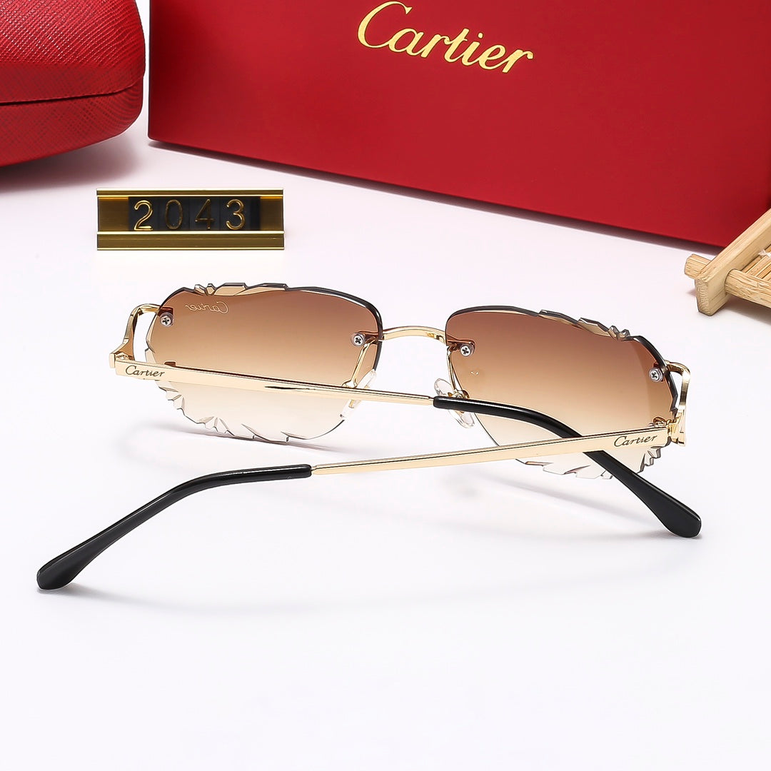 Luxury Eyewear: Elevate Your Style with Exquisite Craftsmanship-67