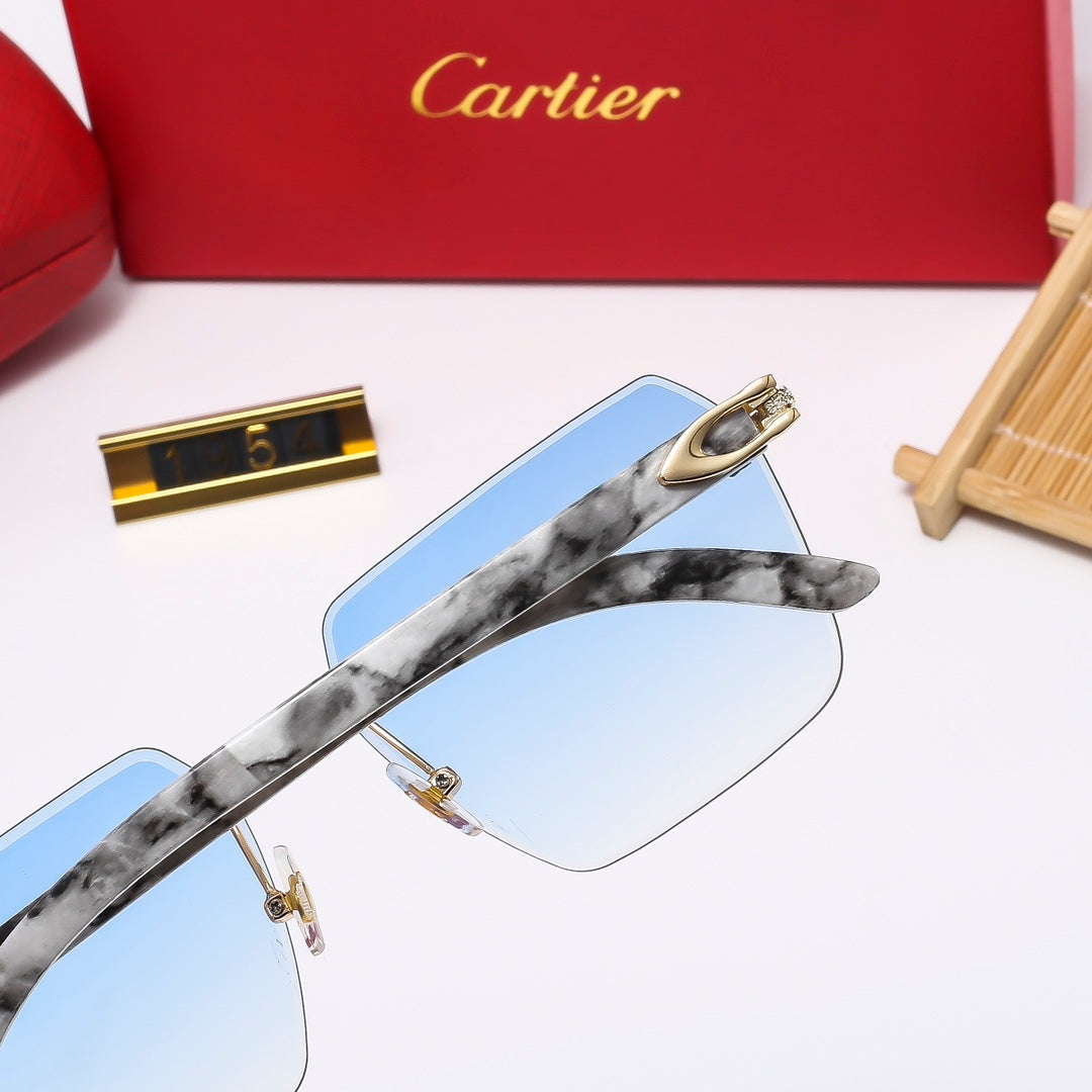 Luxury Eyewear: Elevate Your Style with Exquisite Craftsmanship-184